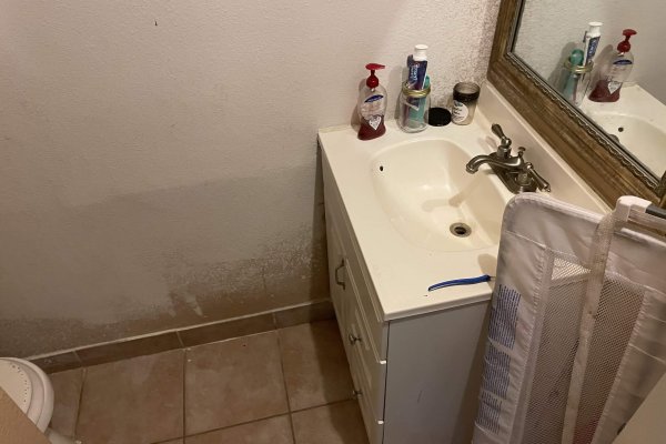 Blackstone garage sink Blackstone garage sink