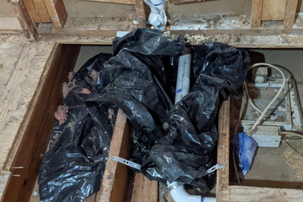 PXL_20210408_140136054