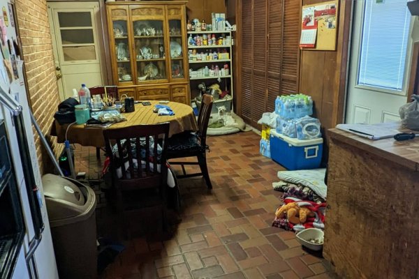 PXL_20220413_201034628