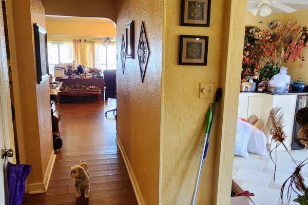 20230214_135335-min 20230214_135335-min