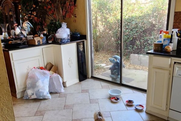 20230214_135340-min 20230214_135340-min