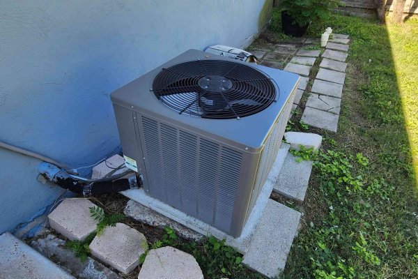 20240927_105008_7_IMGCentury