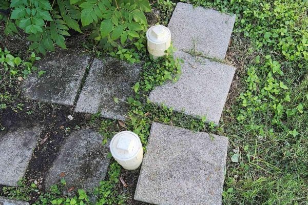 20240927_105013_8_IMGCentury