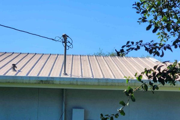 20240927_105134_14_IMGCentury