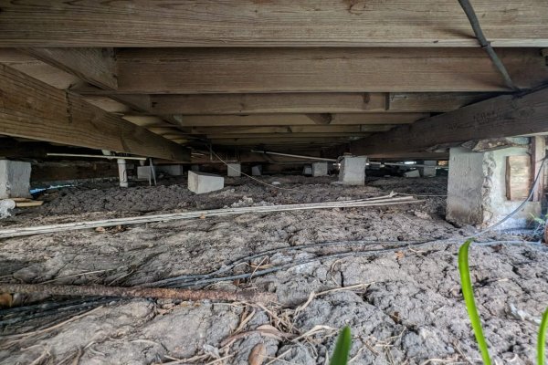 PXL_20240606_144844317.MP-min